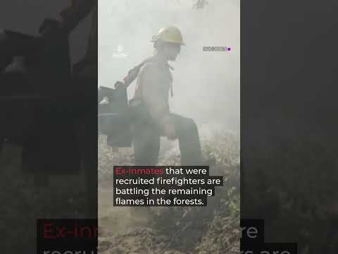 Wildfires in Washington state force thousands to evacuate homes