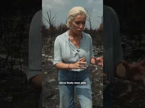 Ground zero of France's devastating wildfire