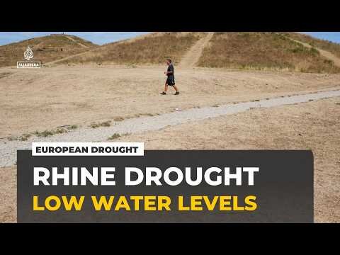 Drought disrupts Rhine shipping route: Low water levels threaten Europe's supply chains