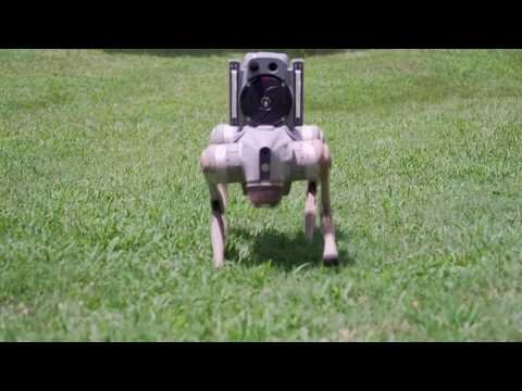 Robot dogs are replacing security guards in Atlanta