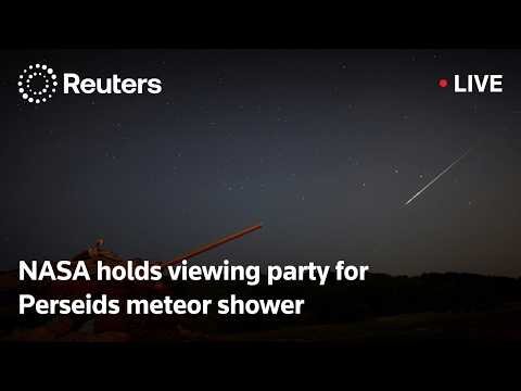 NASA holds viewing party for Perseids meteor shower