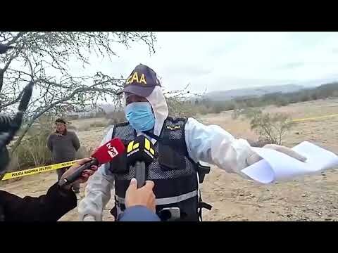 Investigators examine site of Peru tourist plane crash
