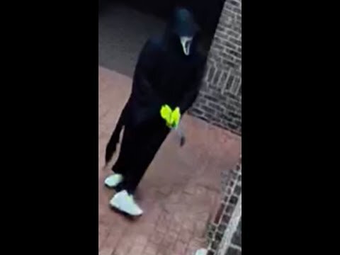Man wearing a ‘Scream’ mask to commit crimes is arrested