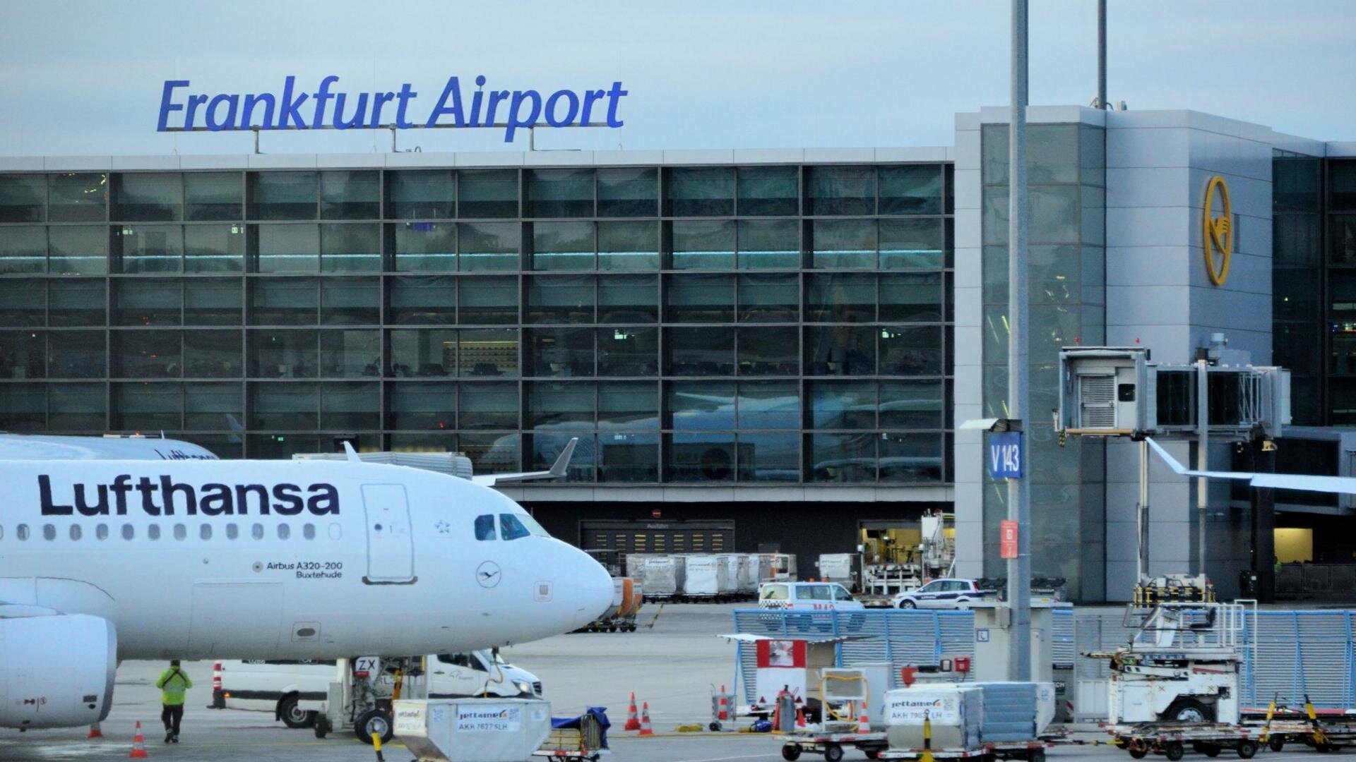 Two German airport workers die of malaria after 'mosquito arrives on plane