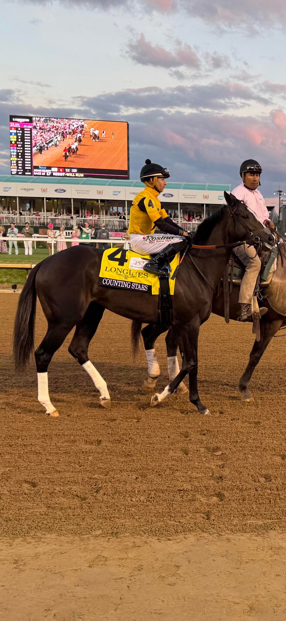 Counting Stars Shines In Run Towards Breeders Cup And Year End Honors