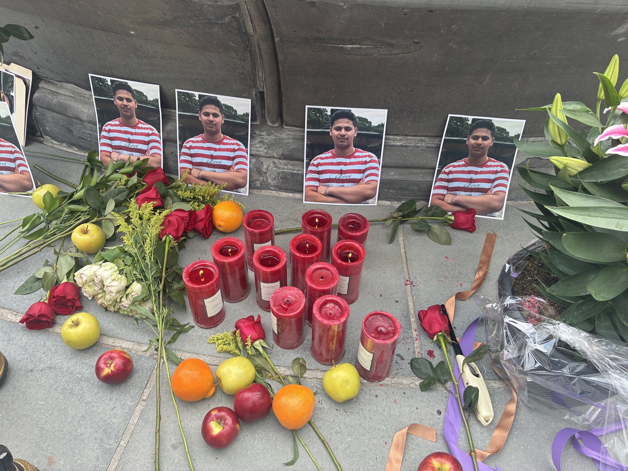 Family of teen killed in Central Park horse carriage accident plans to sue city