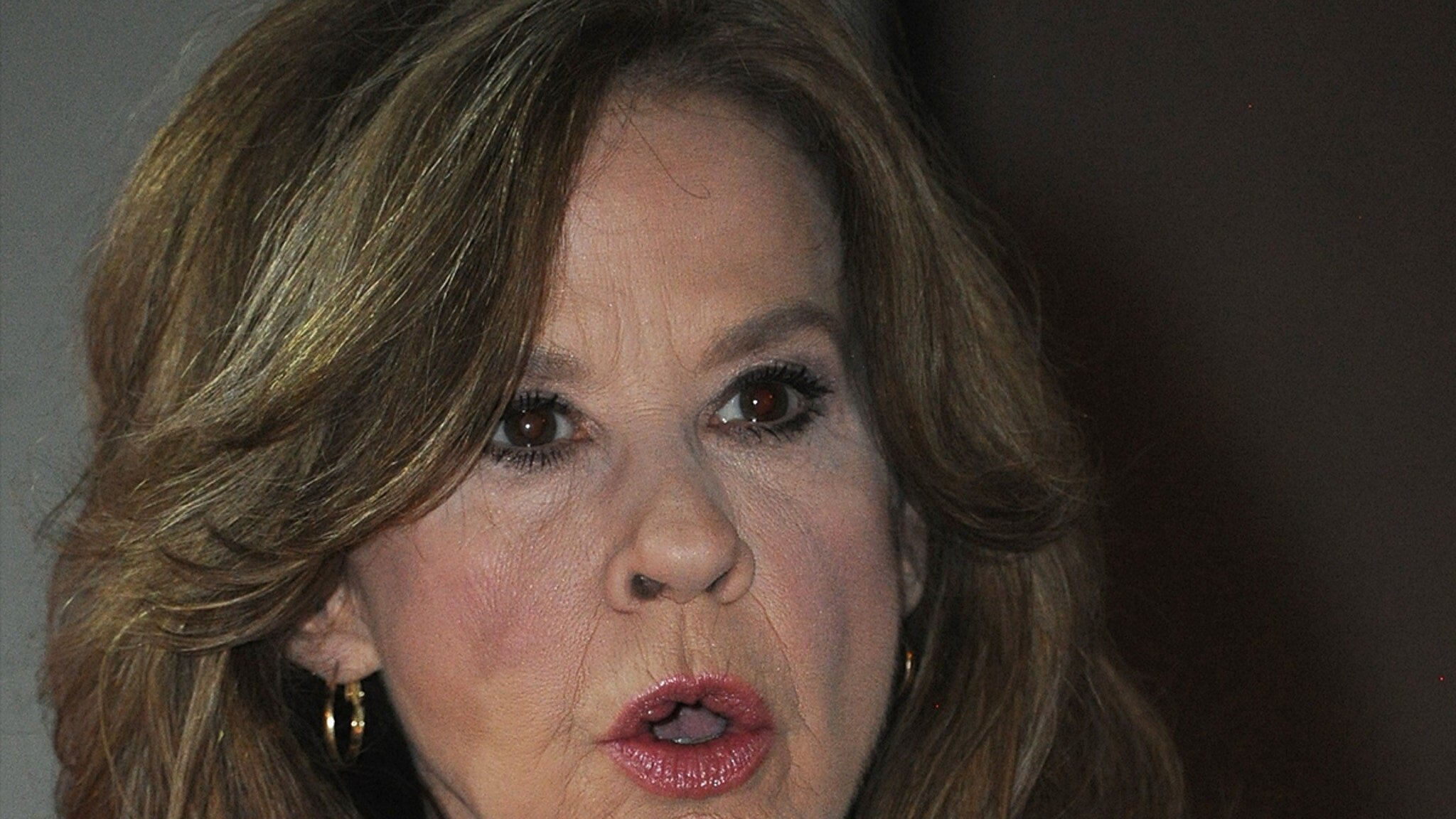 Linda Blair's Residence Raided to Determine How Many Rescue Dogs on Property