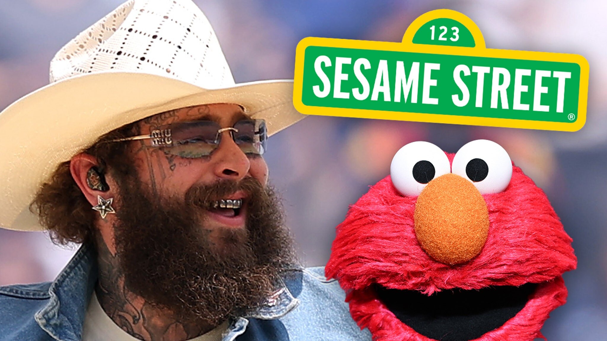 Post Malone Performs With Elmo In 'Storm on Sesame Street' Special