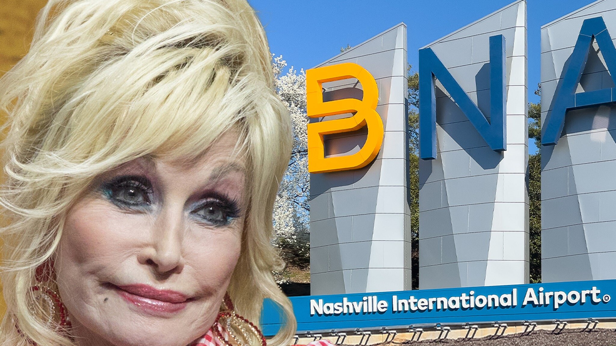 Dolly Parton Fans Push to Rename Nashville Airport After Her