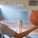 The rules haven't changed in the Air Bud Returns trailer