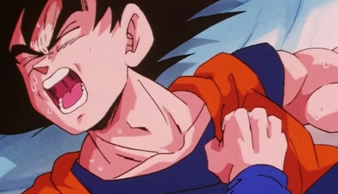 France Celebrates $7 Billion Dragon Ball Z Theme Park Paid For By Saudi Arabia: ‘You Know My Passion For Manga