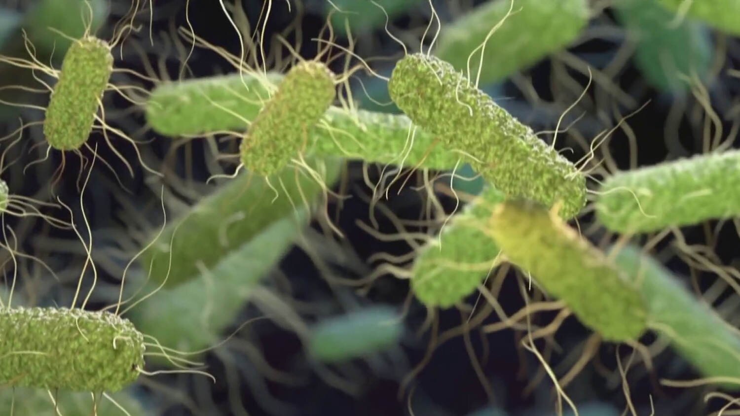 Salmonella outbreak expands to 27 states