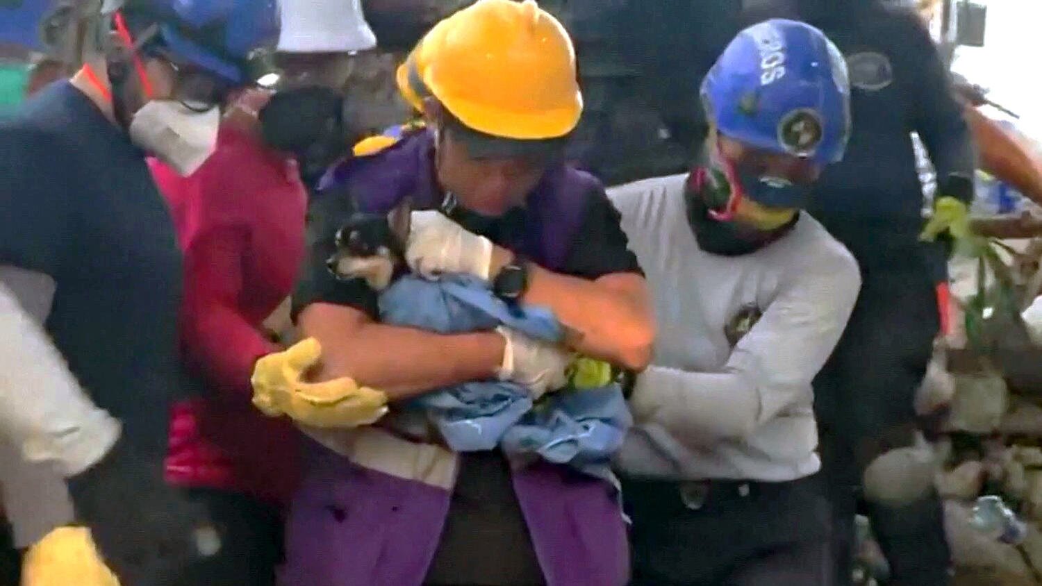 Dog Rescued From Colombia Quake Offers Hope to Find Survivors