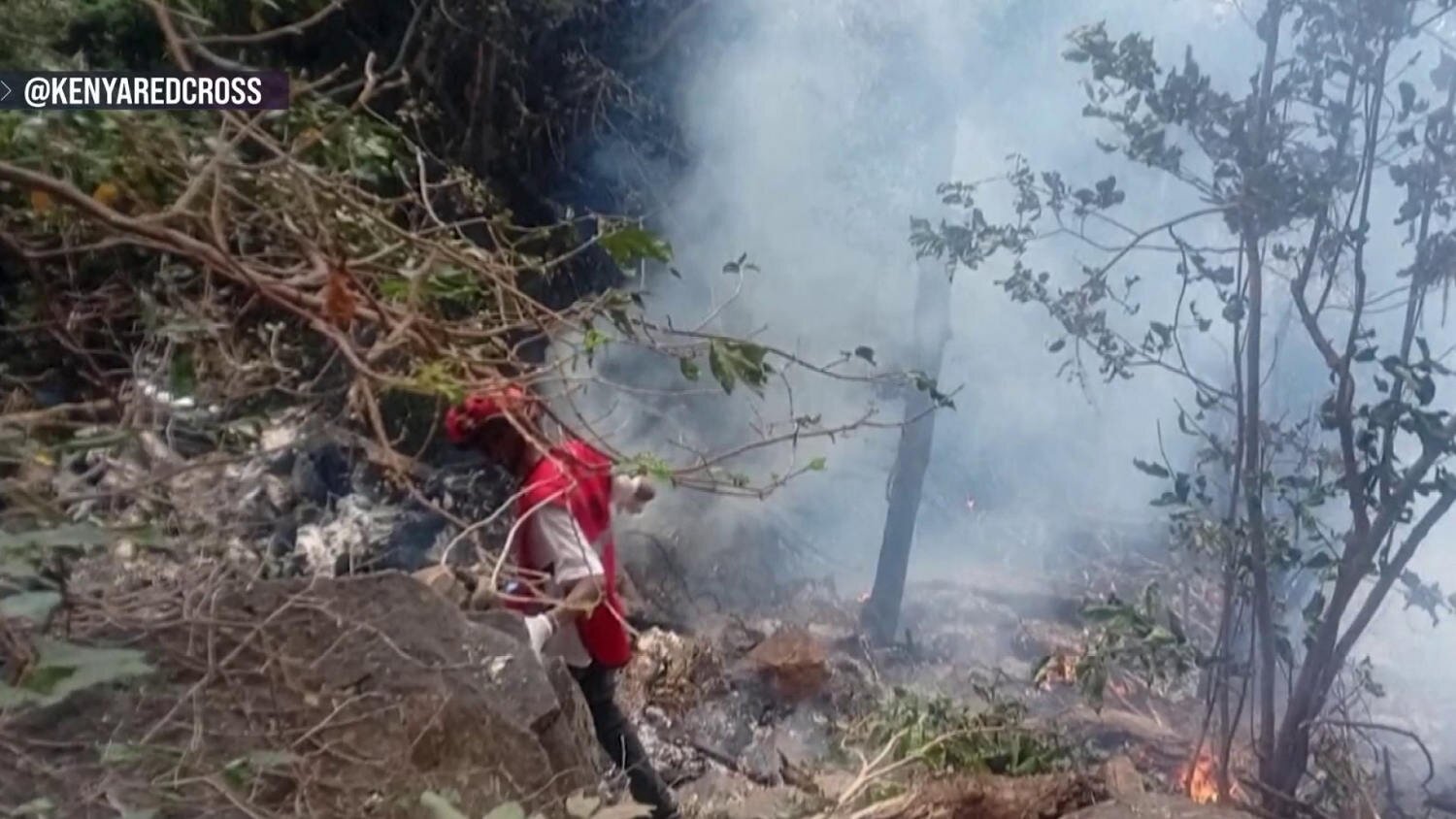 Safari helicopter crash in Kenya kills 7, including Telemundo executive