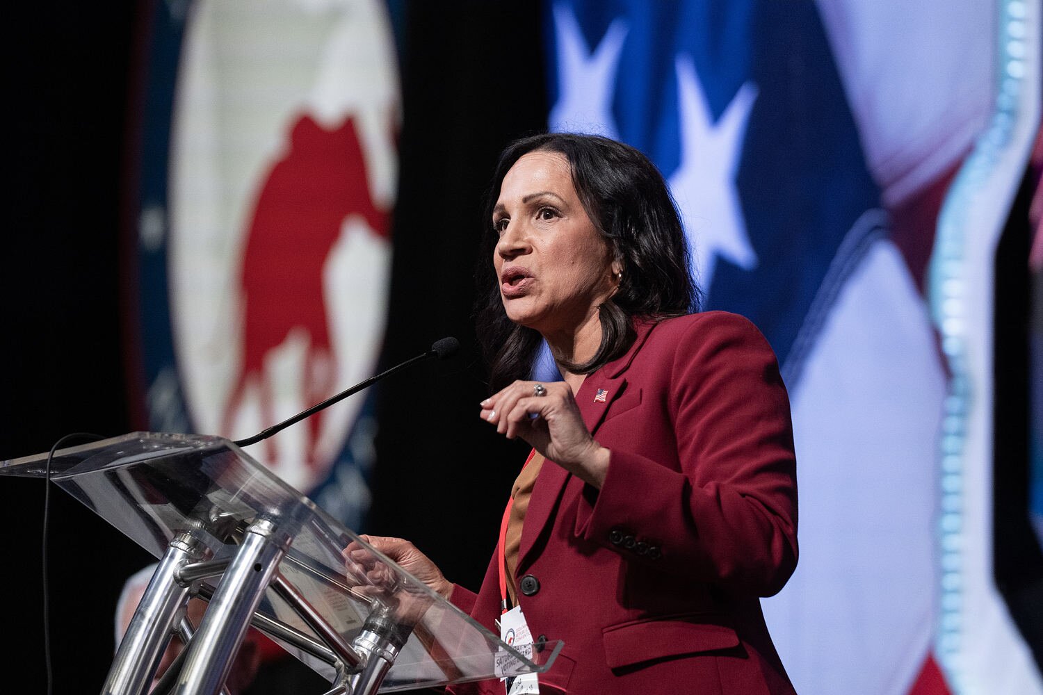 Minnesota GOP picks Lisa Demuth over Trump-backed Mike Lindell for governor against Democrat Amy Klobuchar
