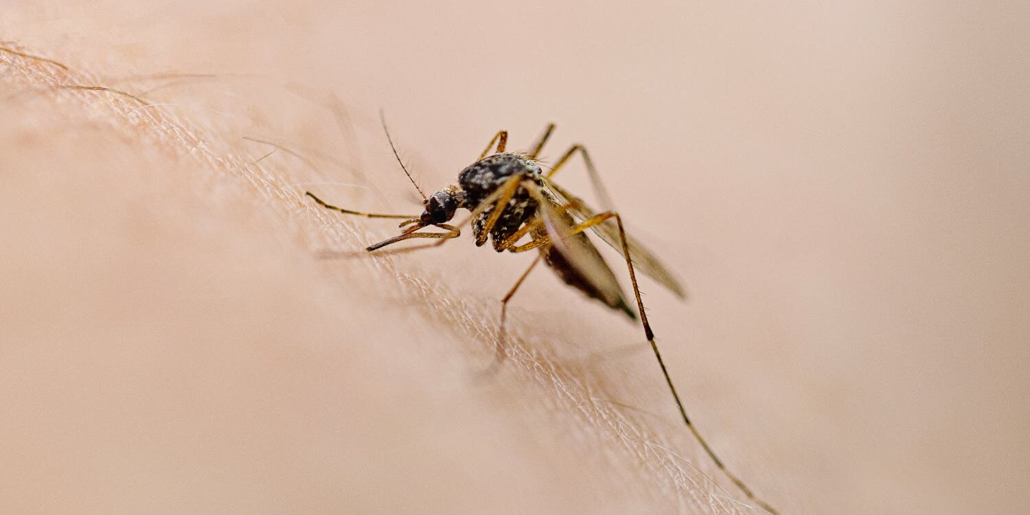 West Nile virus season peaks in late August