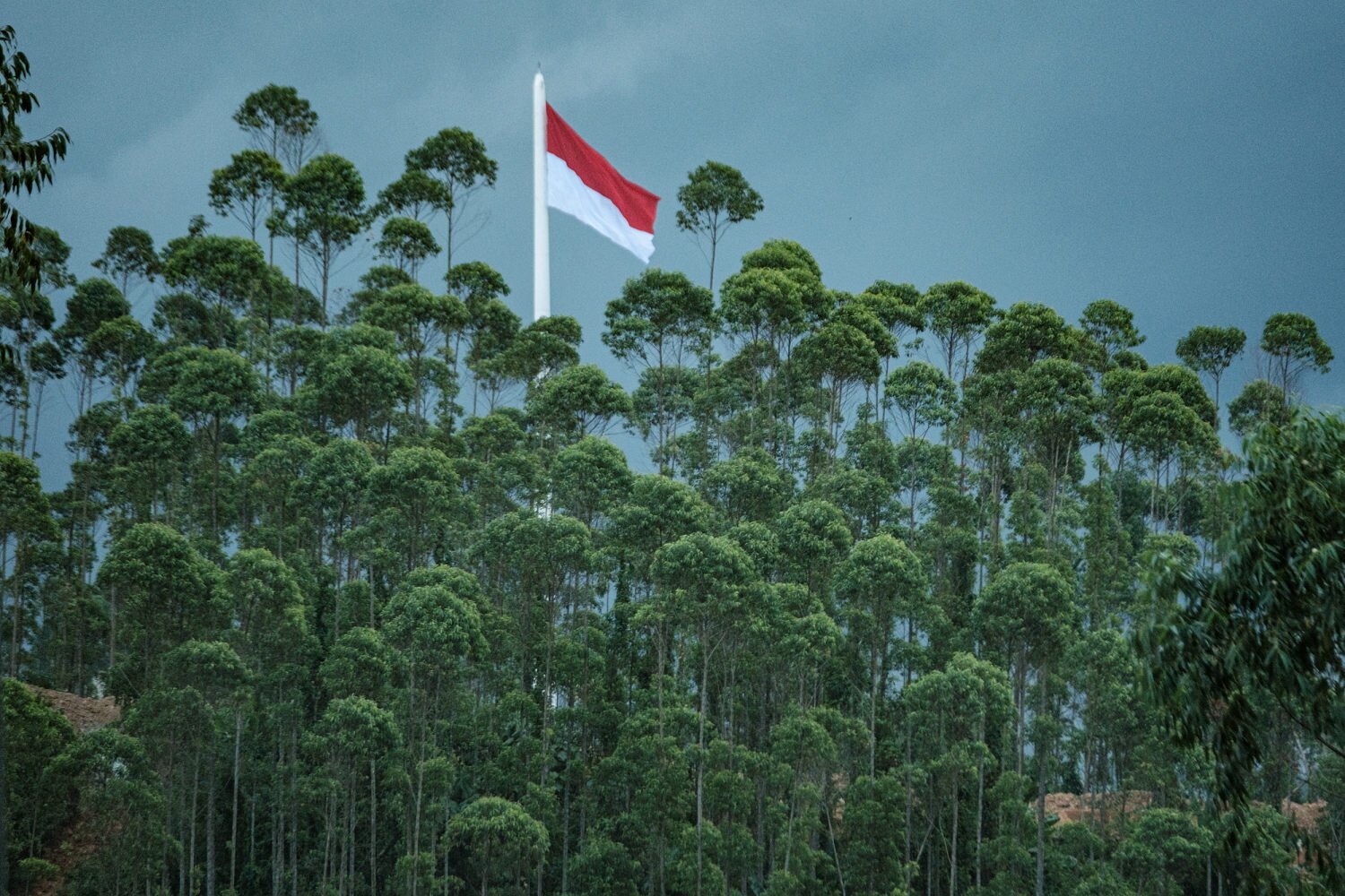 Magnitude-7.7 quake hits off coast of Indonesia, USGS says