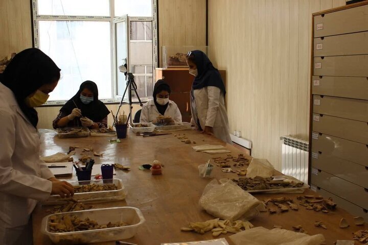 Five-year Iran-Poland study sheds new light on life in Iran before the Medes