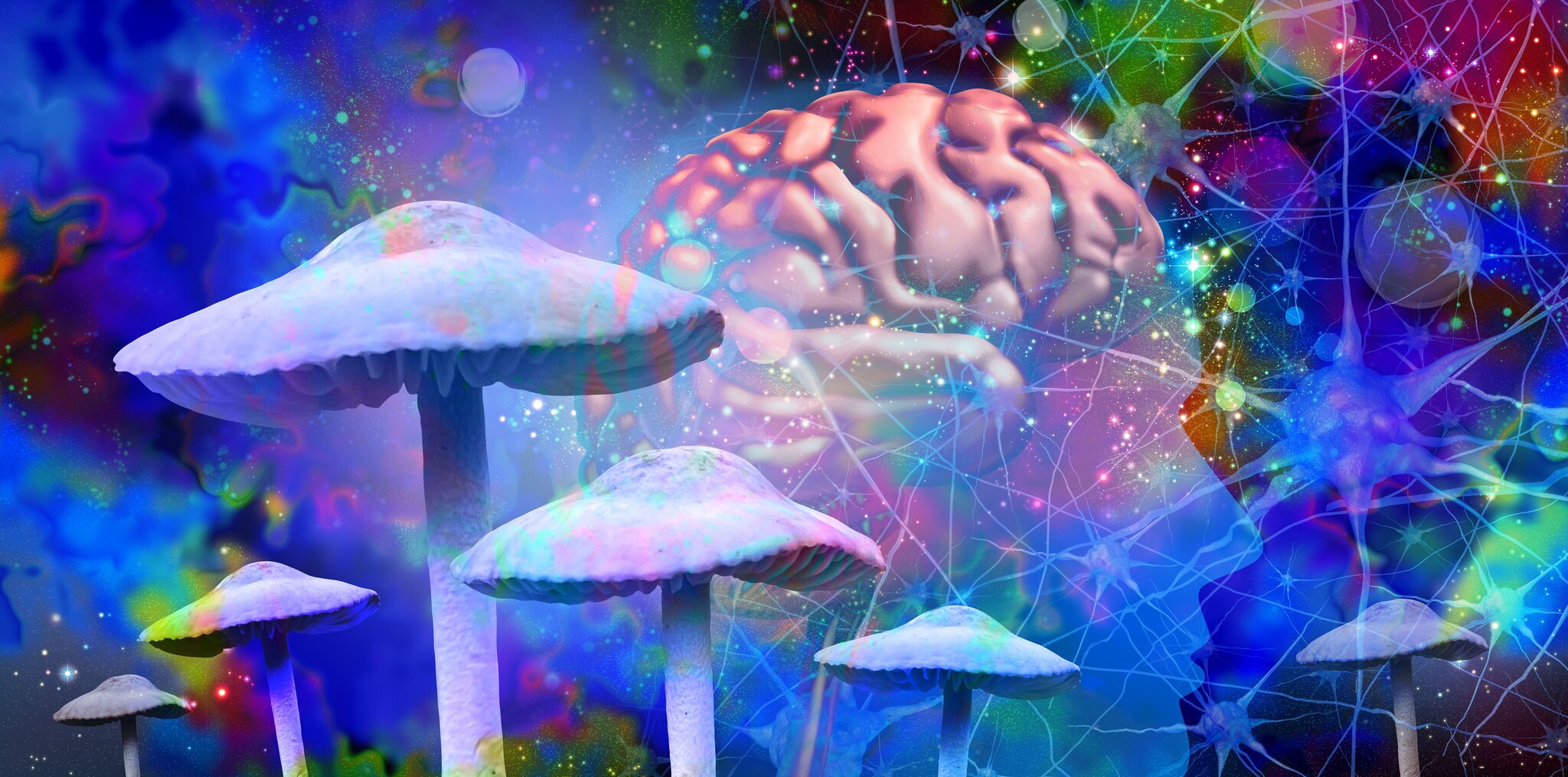 Psilocybin Might Make Your Brain Live in the Moment