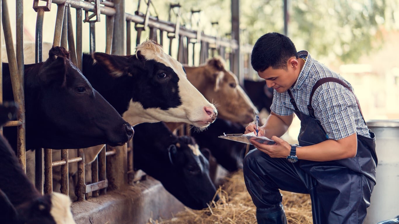 The Milk Check Went Straight to the Barn Loan. Social Security Said He Earned More Than He Thought.