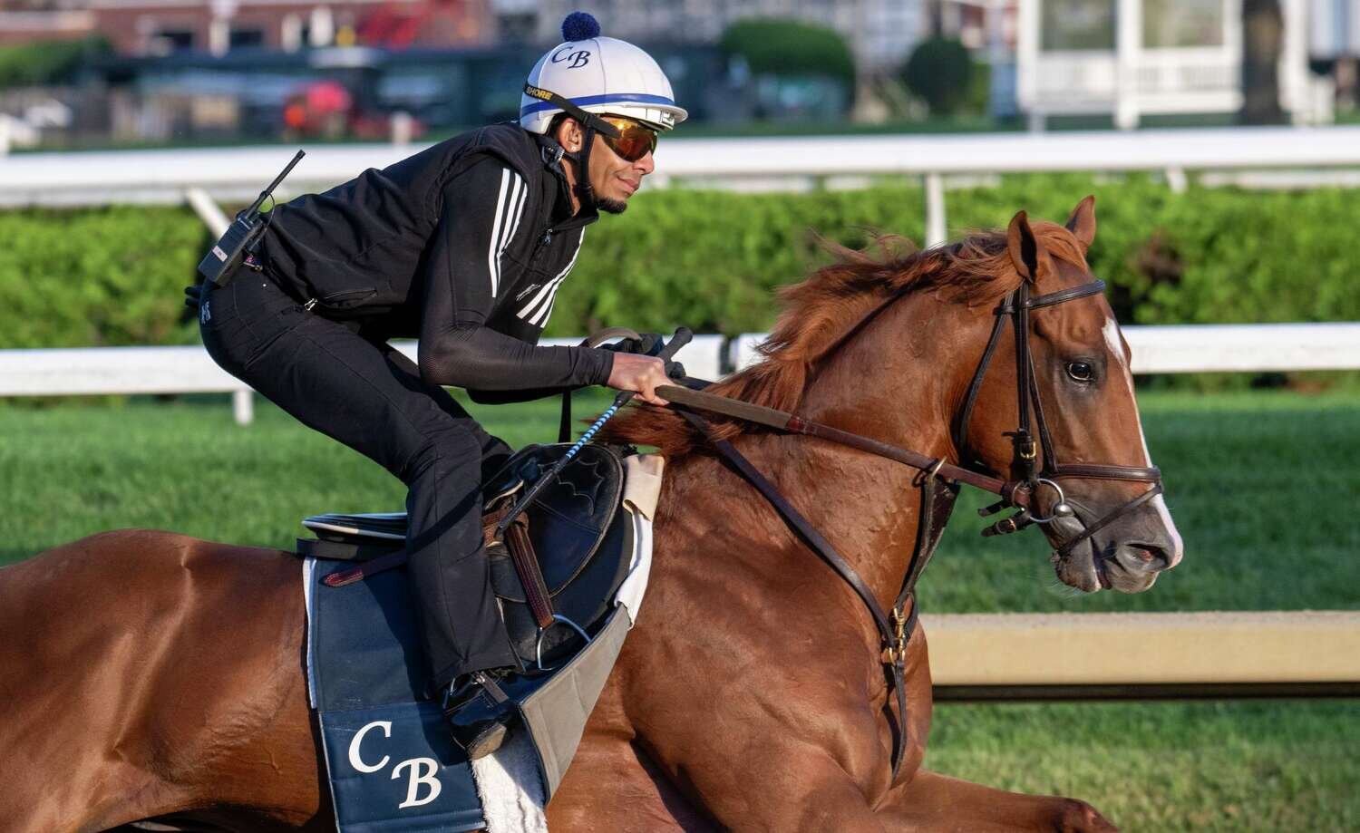 Chad Brown gives Sea Strike 'big chance' in Travers