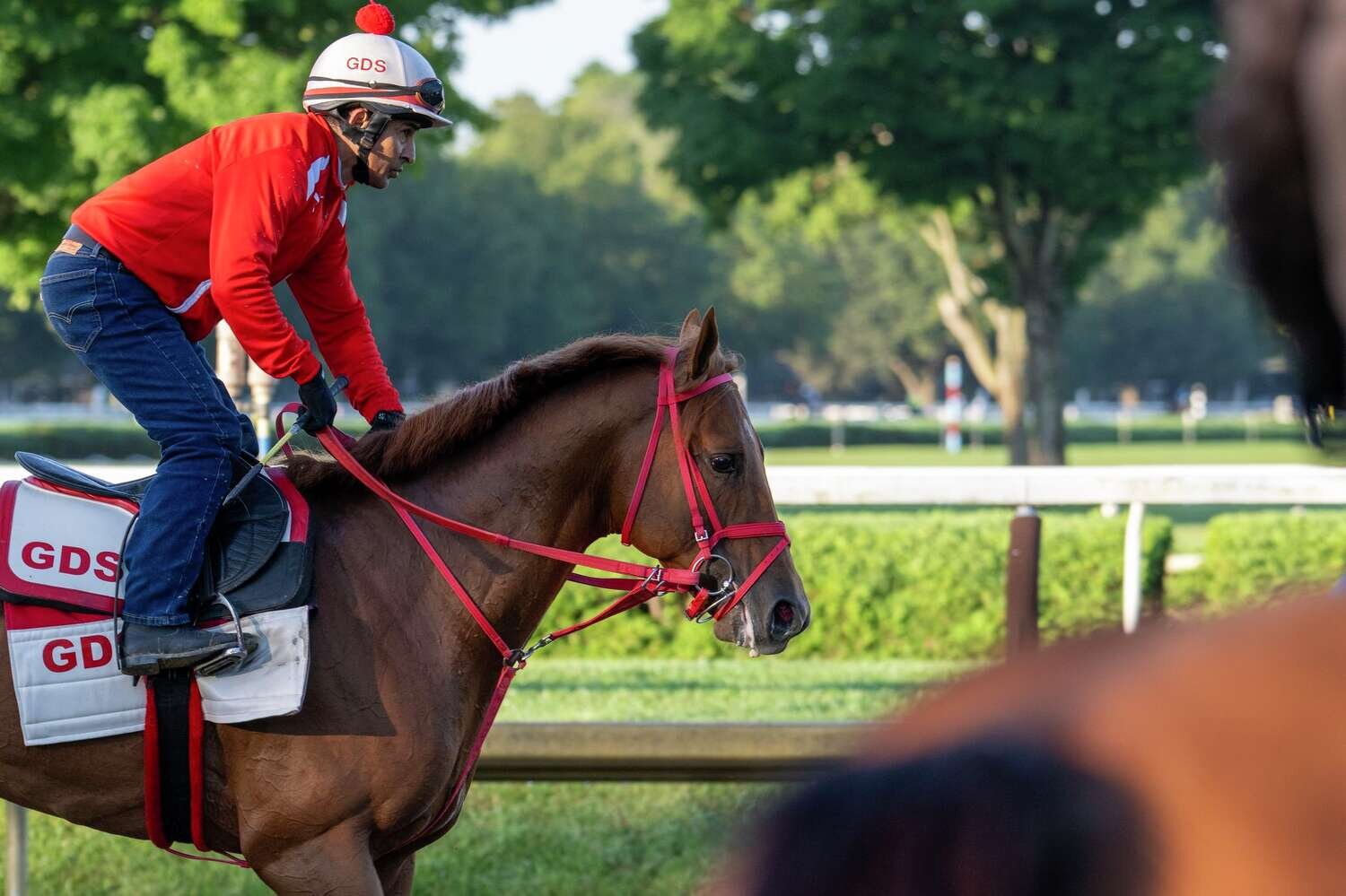 The Puma looms as a contender for Saratoga's Travers Stakes