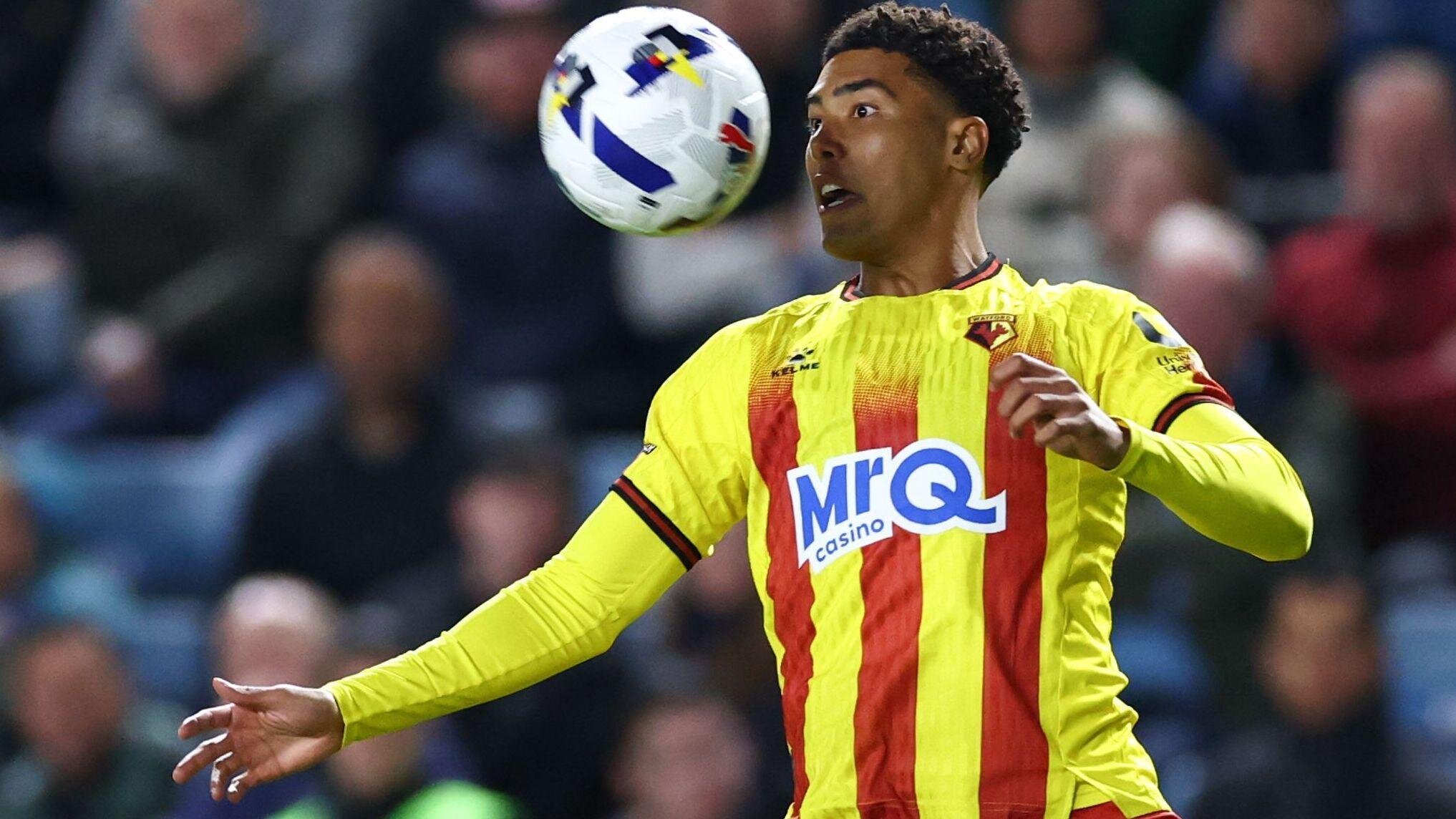 Preston sign Chelsea defender Wiley on loan