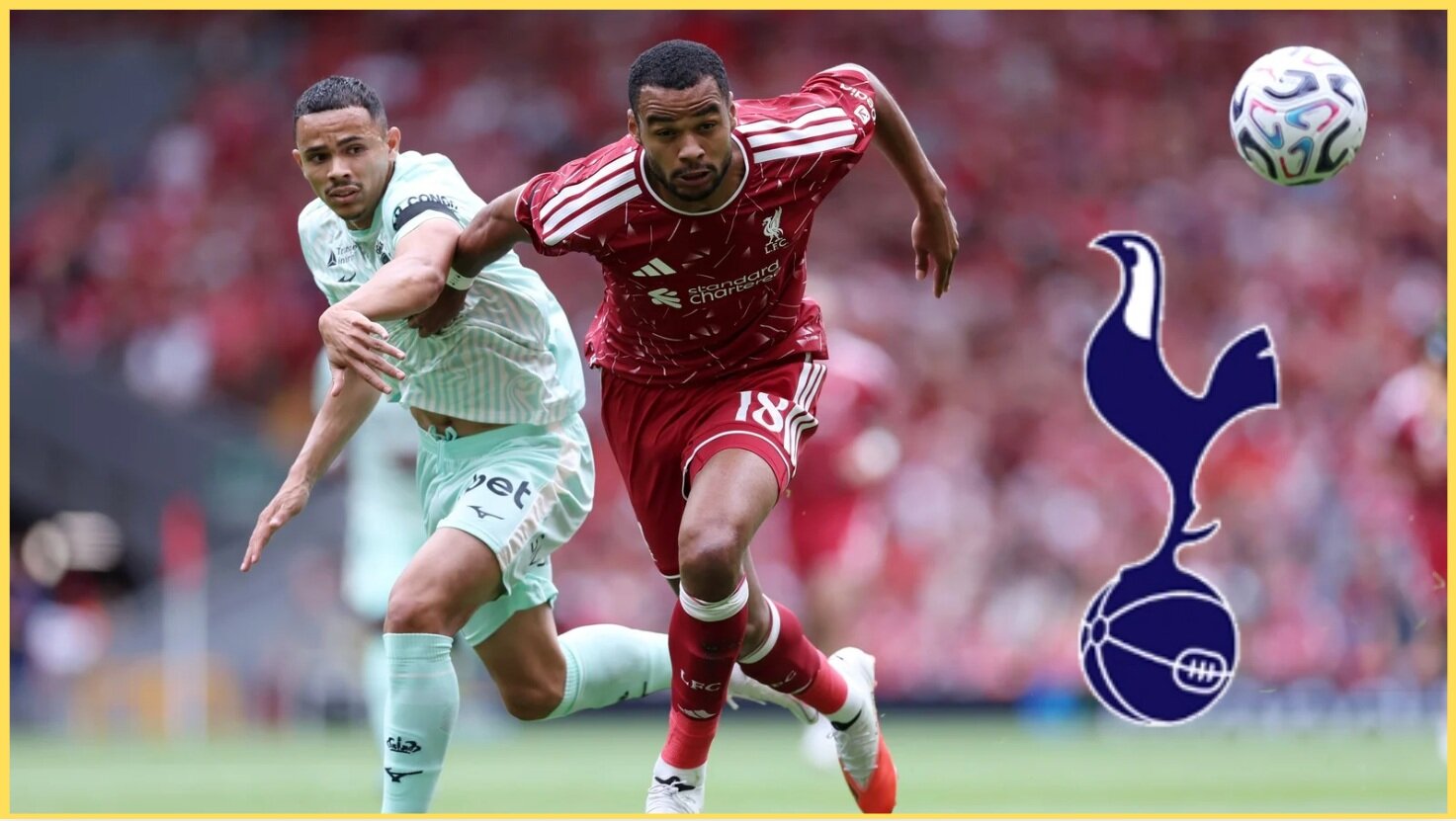 Serious option’ – Sky reporter issues Gakpo to Spurs update as Liverpool forward ‘open’ to exit