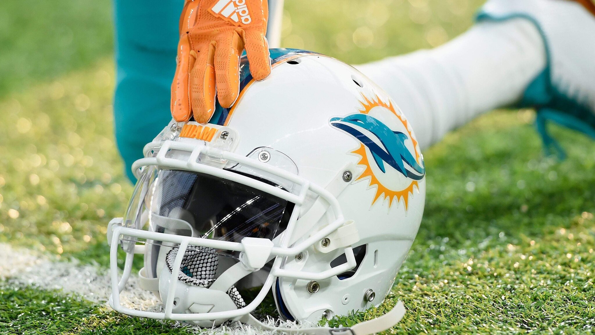 Dolphins Cut Ties With Dual-Threat Quarterback During Training Camp