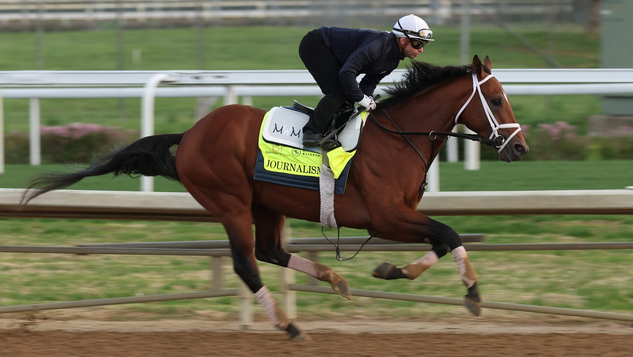 Triple Crown Star Retired Following Starting Gate Injury in San Diego
