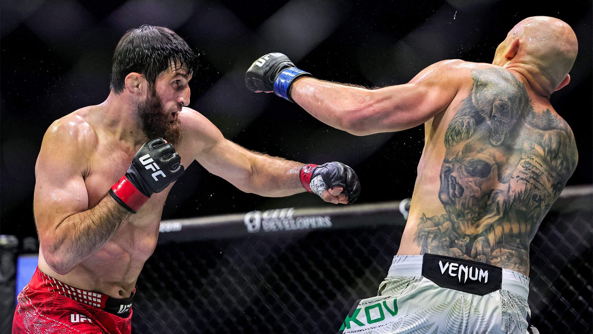 Daniel Cormier: Magomed Ankalaev Next for 205 lbs Title Shot