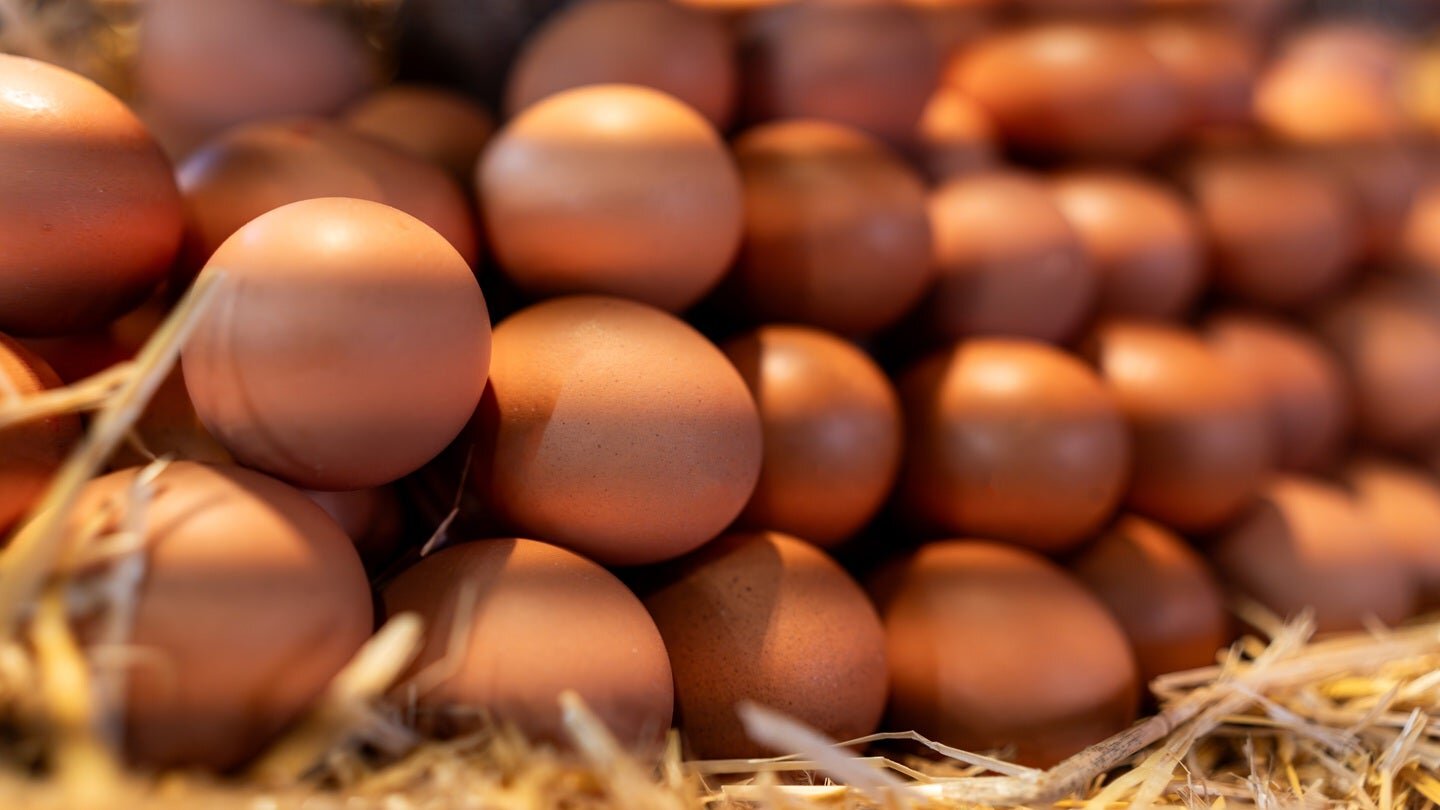 Global Eggs strikes Germany M&A through Hevo arm