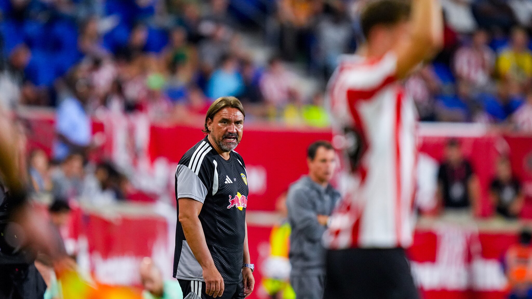 Daniel Farke: Very happy for the boys