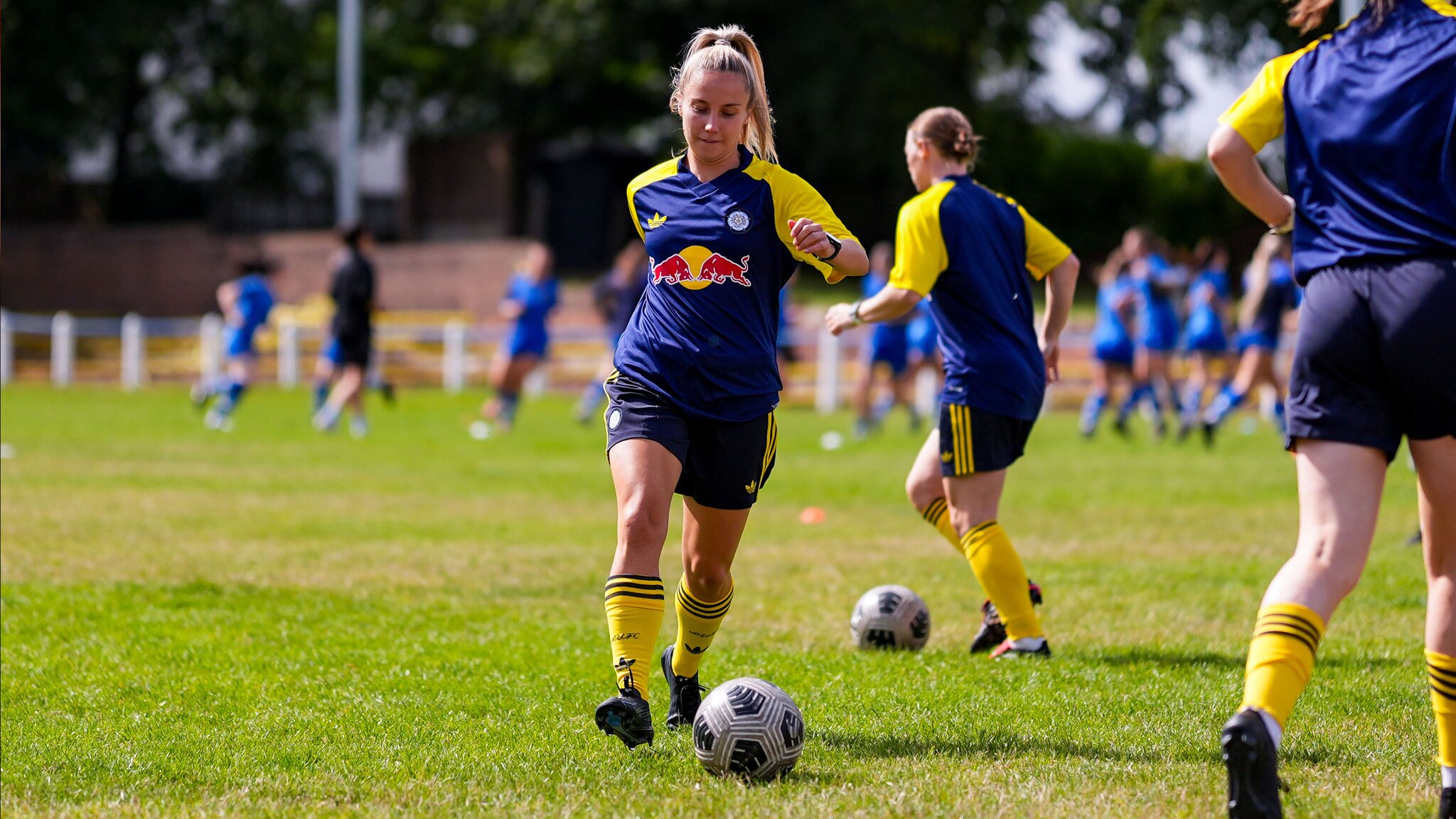 Darcie Greene: We have to be prepared