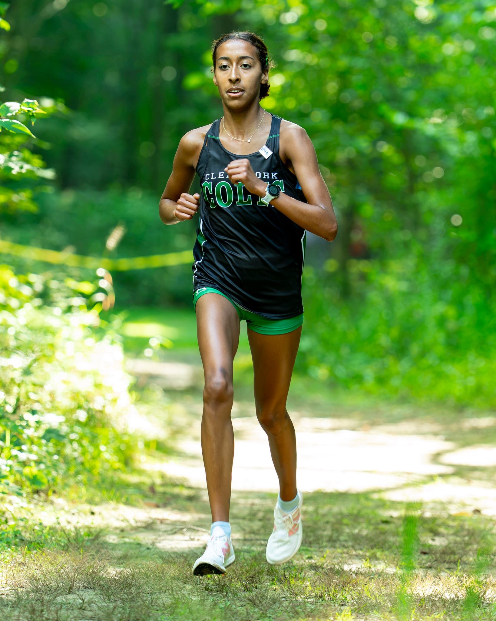 2026 Richland County Cross Country Scoreboard: Neal wins CC invite