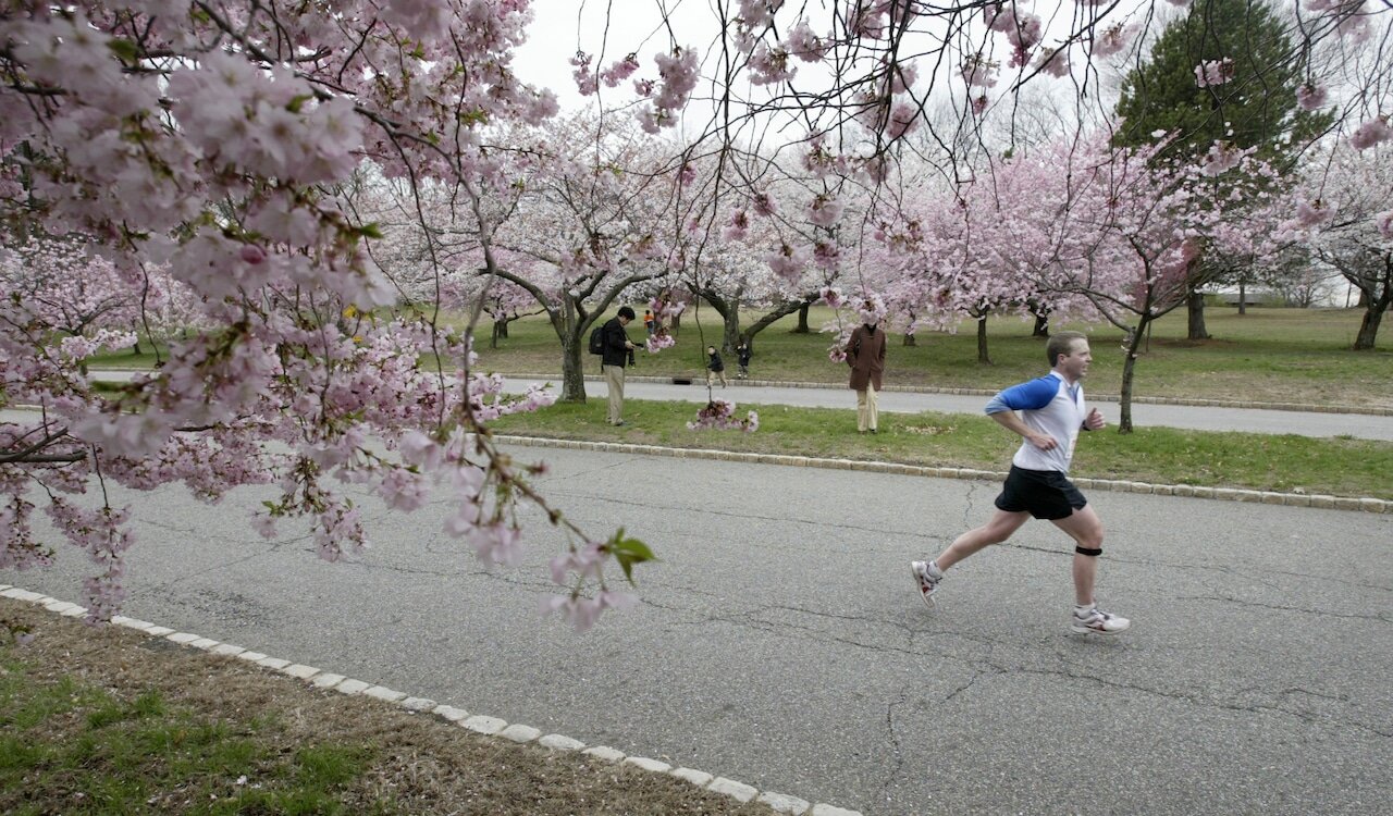 15K ‘fall classic’ joins spring Cherry Blossom 10K on Newark’s race calendar