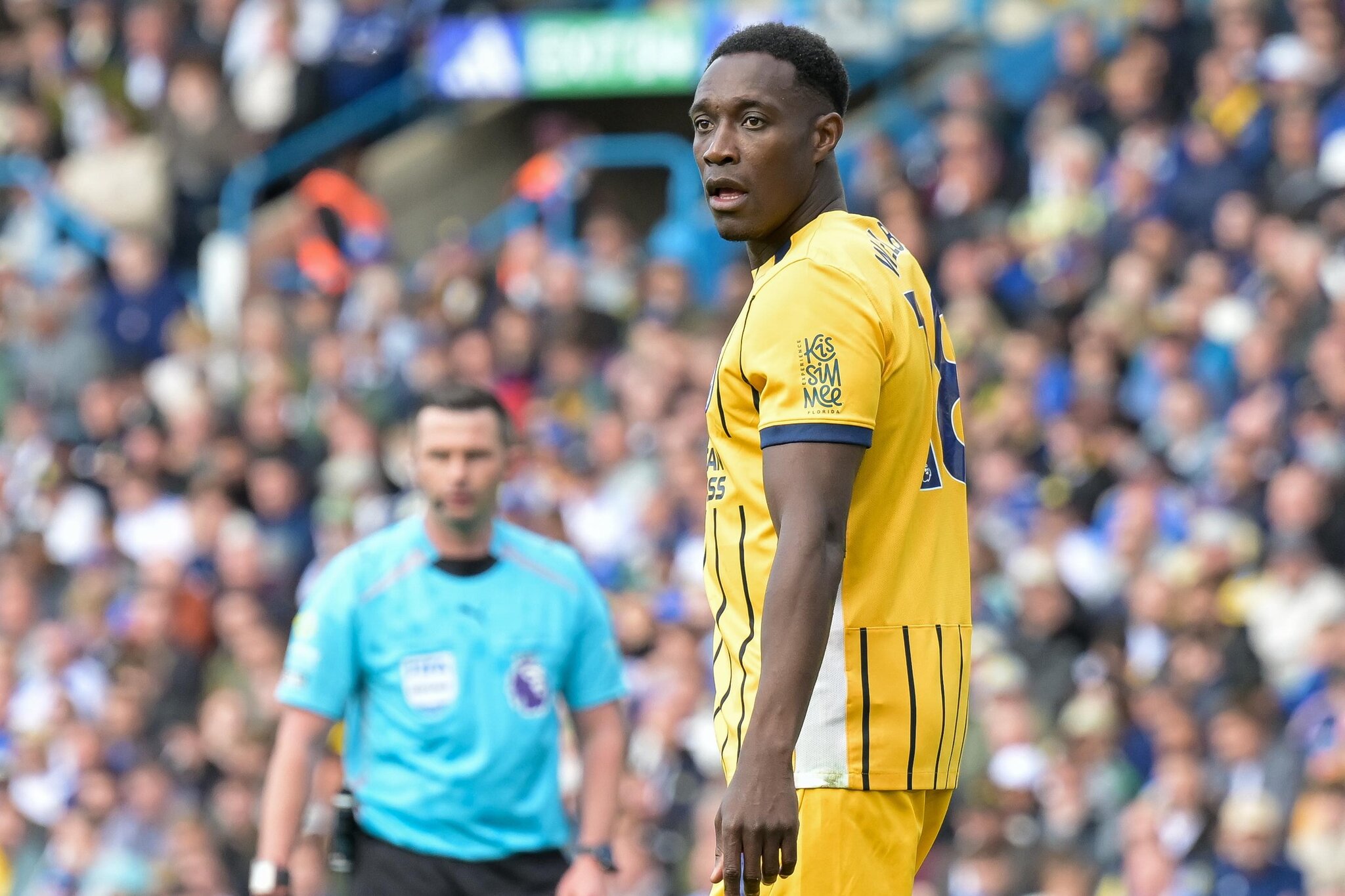 Chelsea ‘exploring move’ for Danny Welbeck