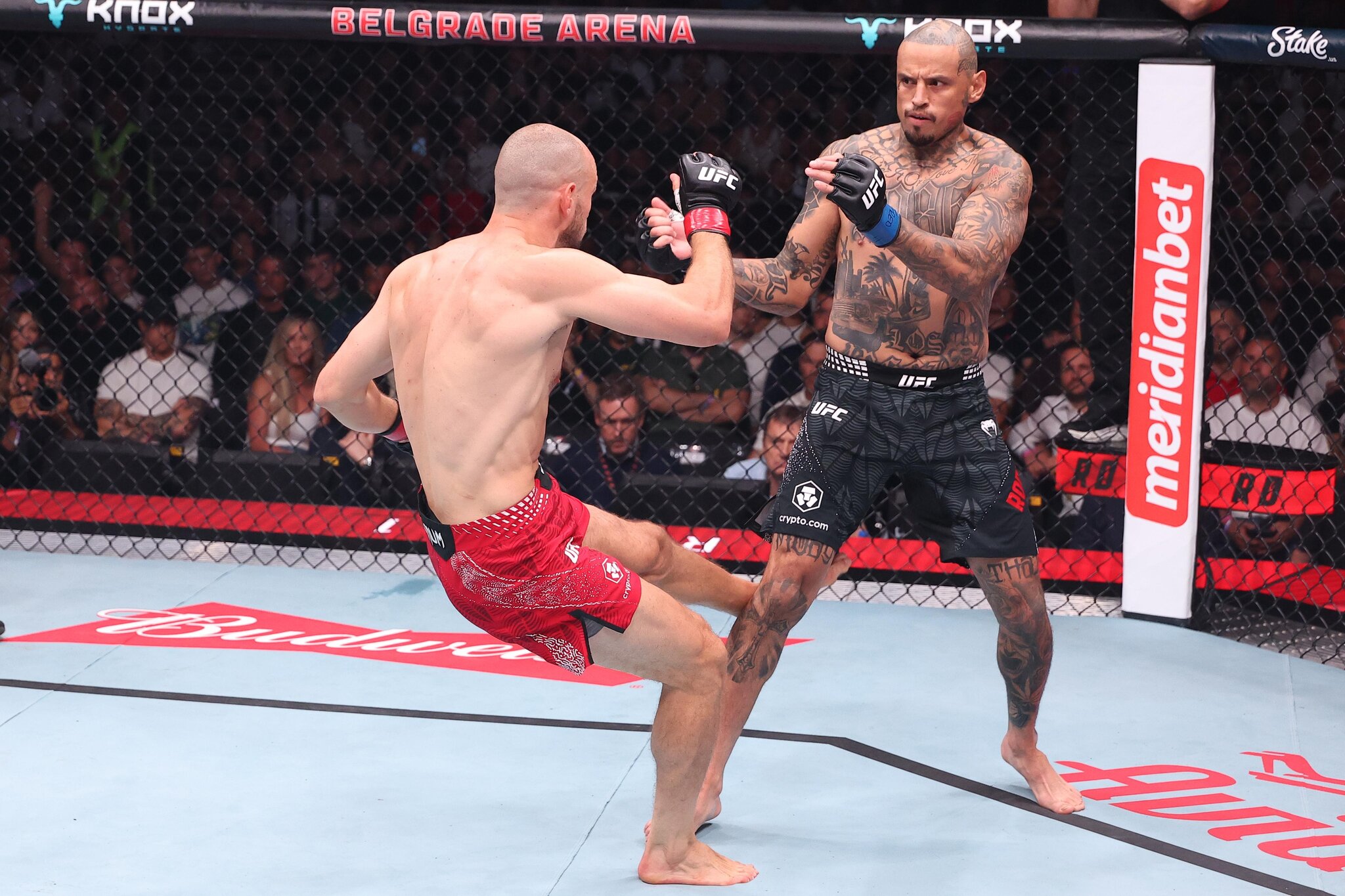Daniel Rodriguez releases statement following disappointing UFC Belgrade knockout loss