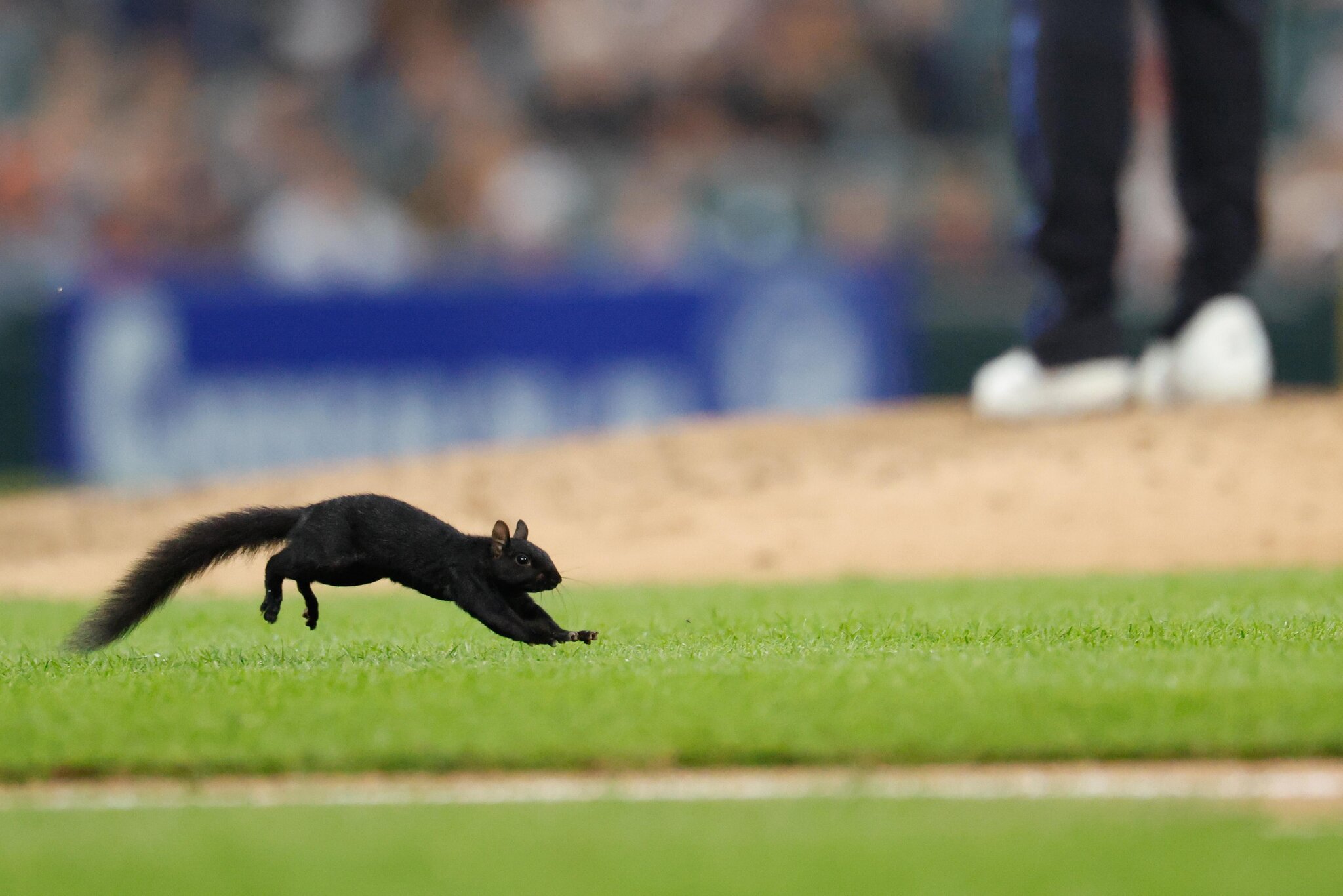 Tigers drop O’s series opener with disappointing Montero start