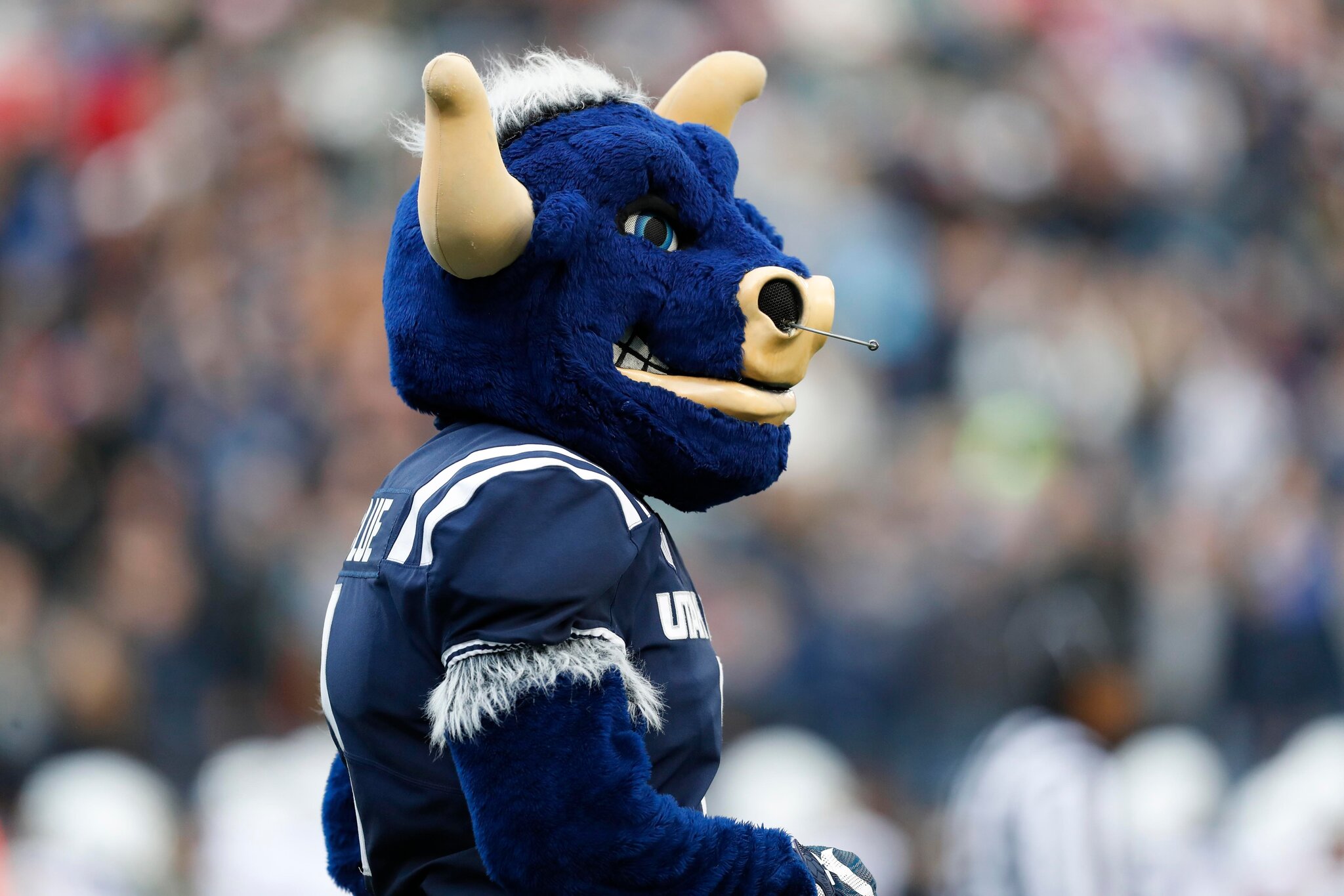 Get to Know Your Foe: Utah State