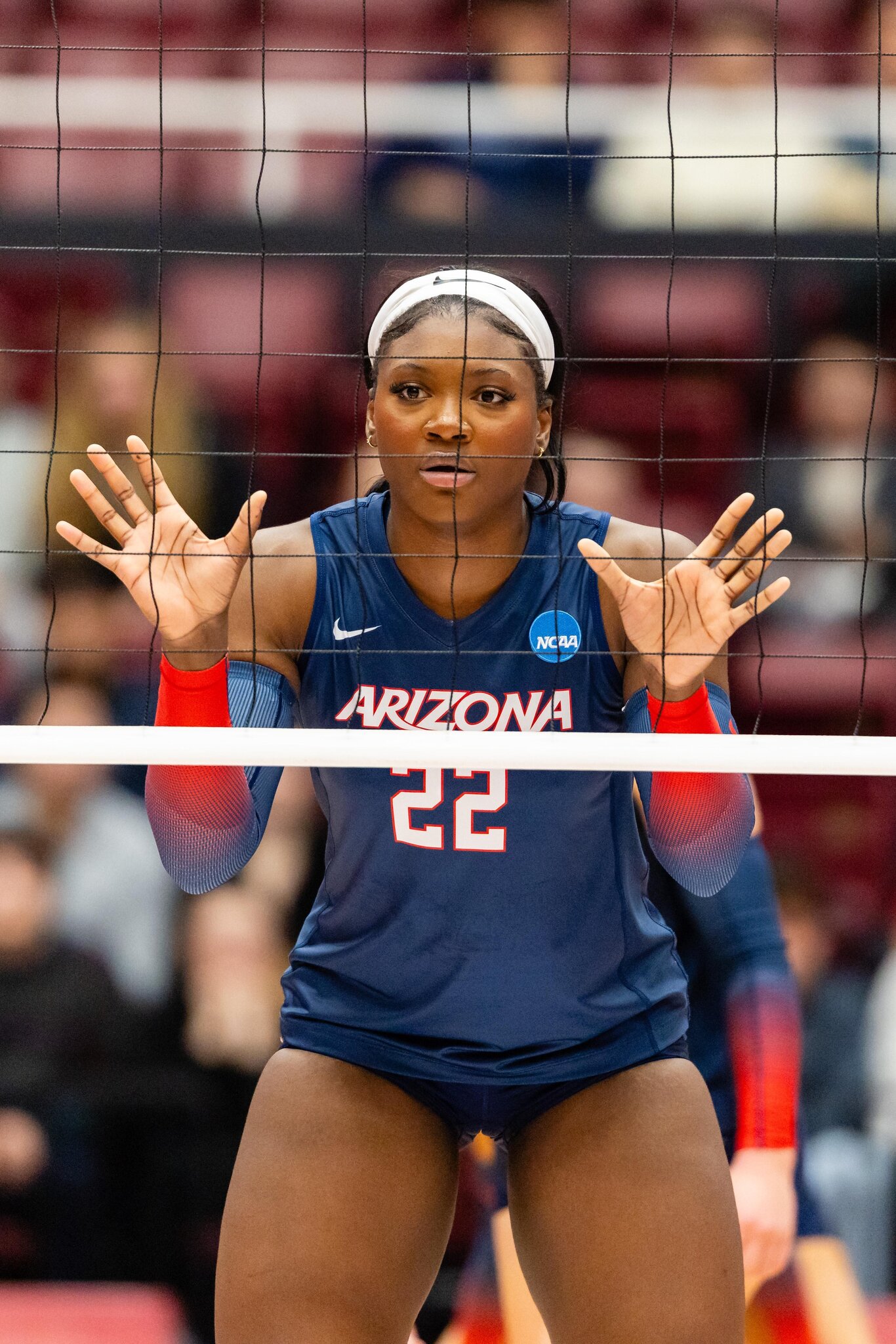 Arizona volleyball notebook: On AVCA preseason poll, fan engagement, and Red-Blue
