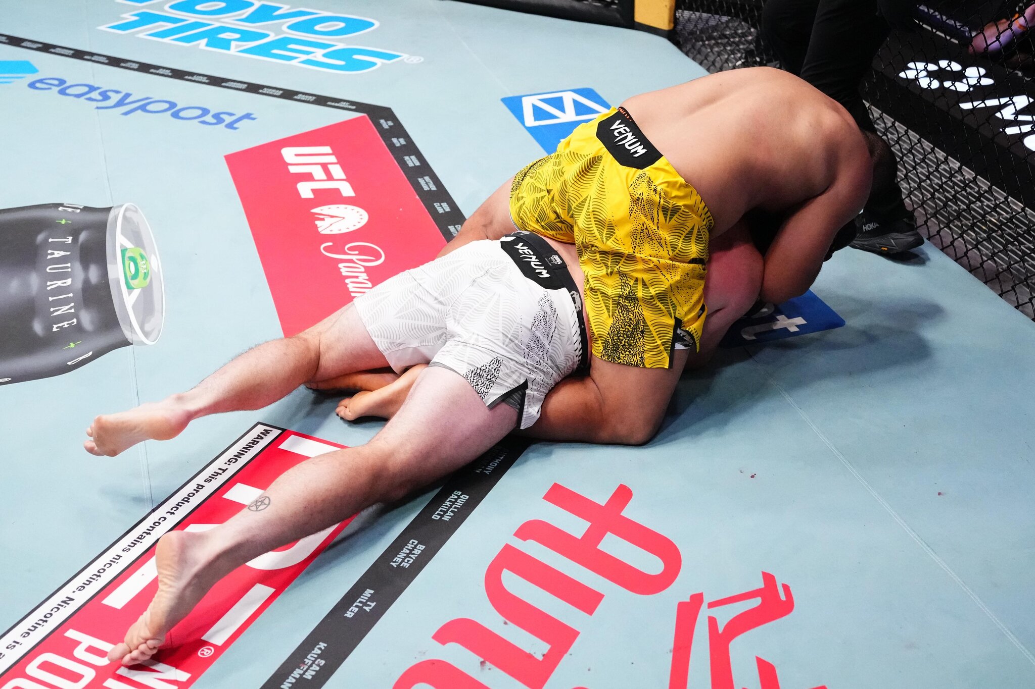 Rookie Report Card: Grading all Octagon newcomers UFC Vegas 120 post-mortem