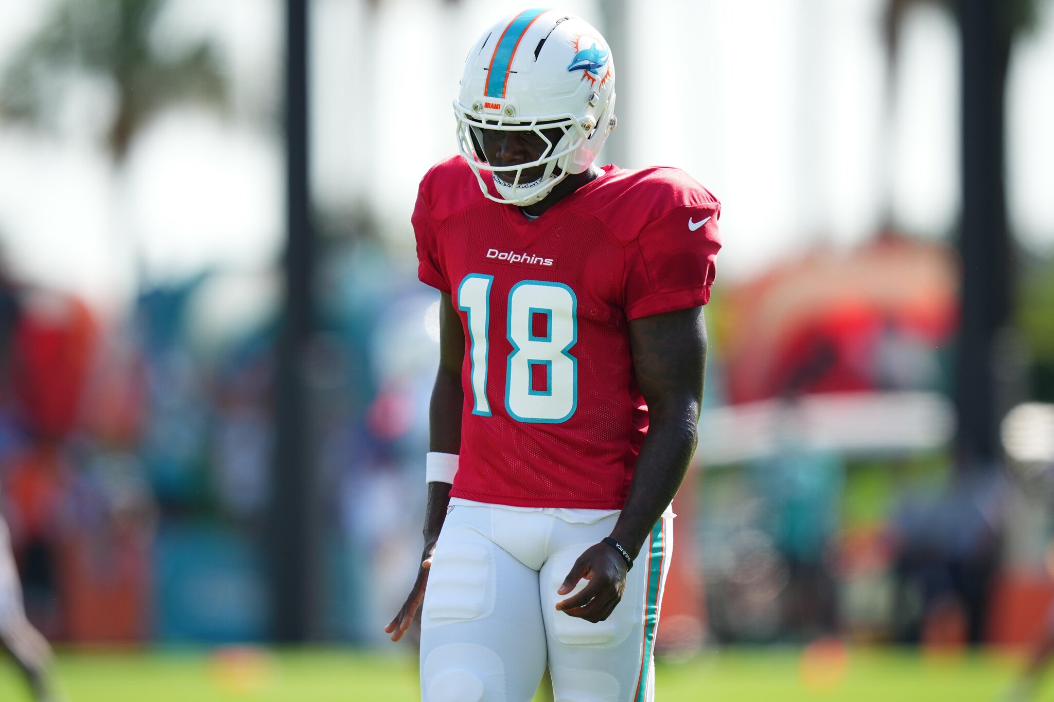 Dolphins plan for rookie receiver Chris Bell to play in preseason finale