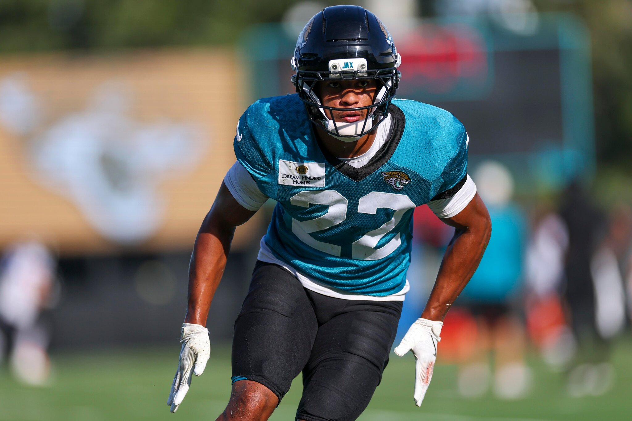 Reacts Survey Results: The NFL Preseason is Upon Us