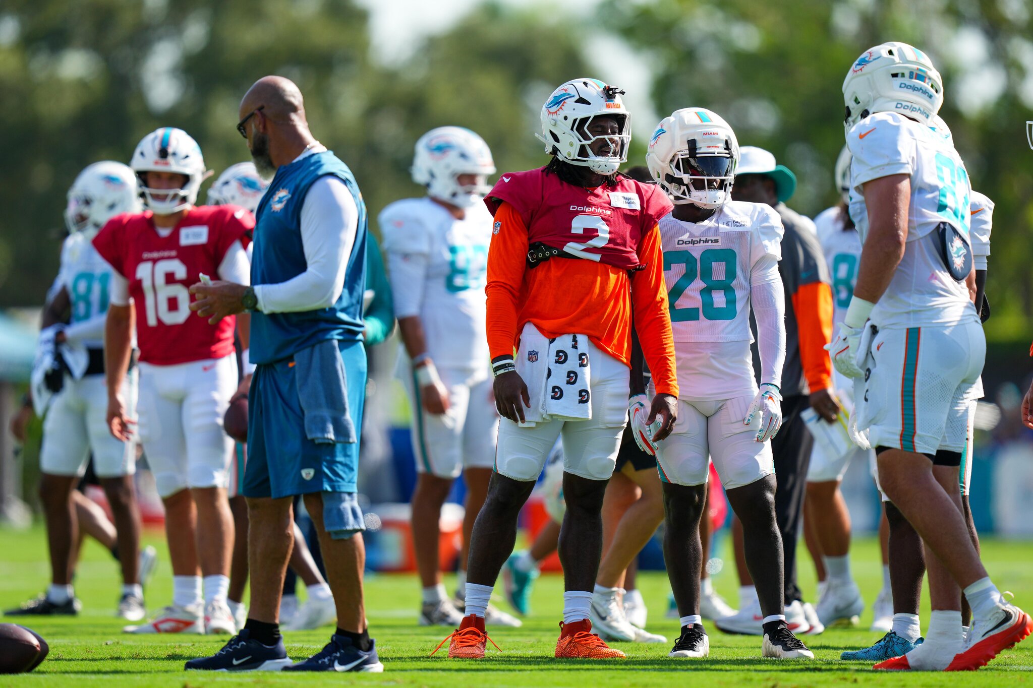 Miami Dolphins Discussion: Who Must Shine Edition