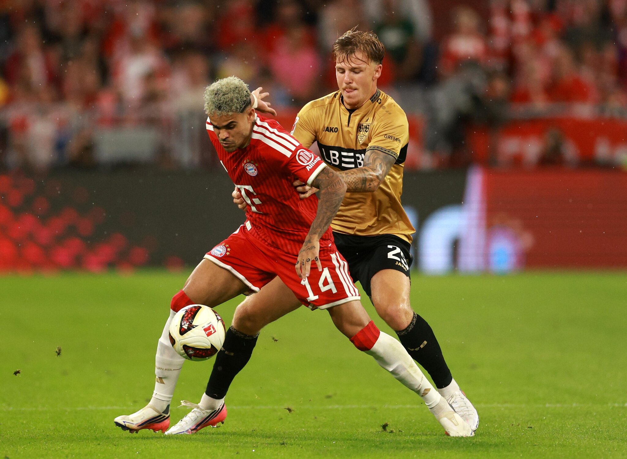 What did you think of VfB Stuttgart center-back Finn Jeltsch vs. Bayern Munich, does he deserve a call-up to Germany?