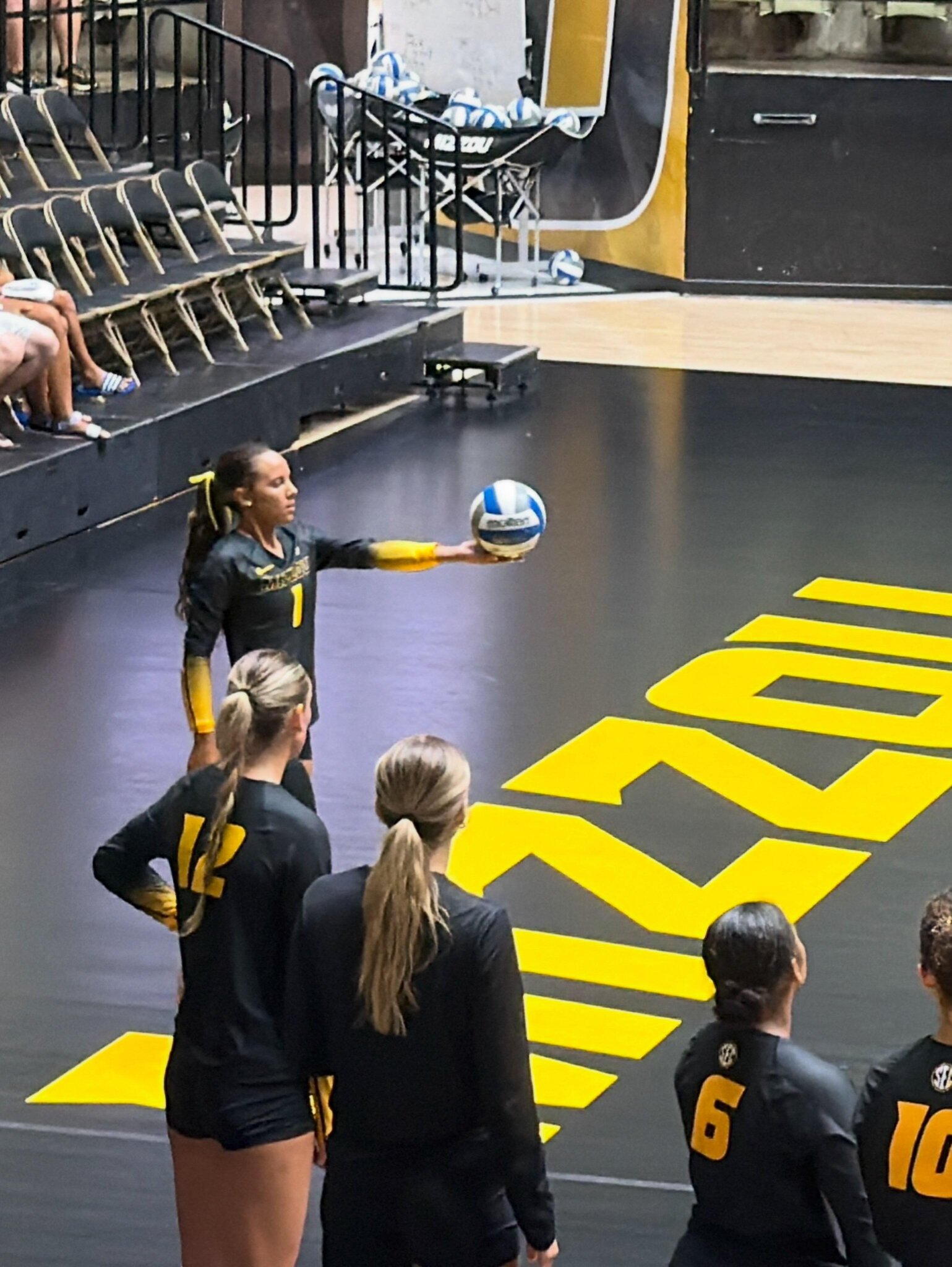 Mizzou Sports are BACK, Babyyyy.