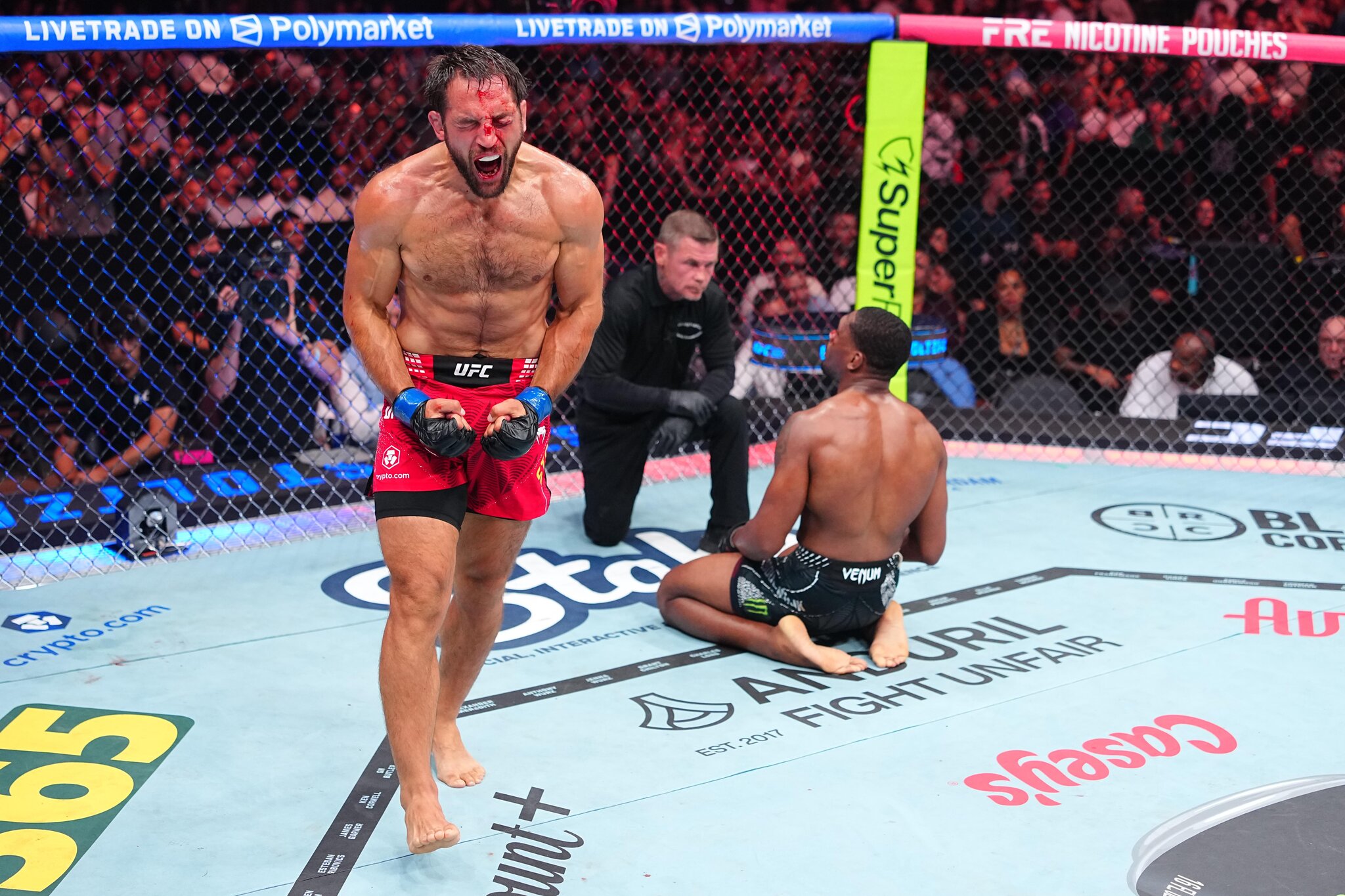 UFC 330 Highlights! Stoltzfus Shocks Abdul-Malik With Upset Submission