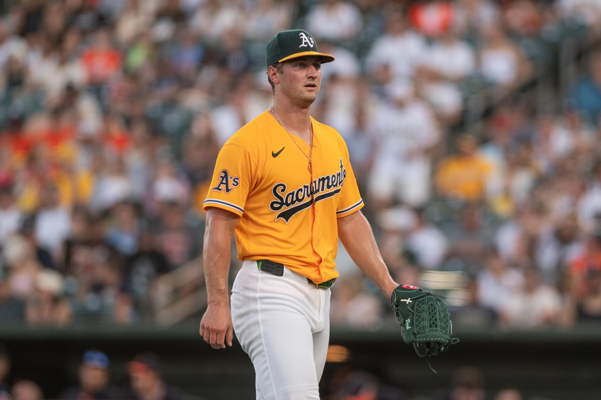 Elephant Rumblings: Perkins’ Long-Term Role