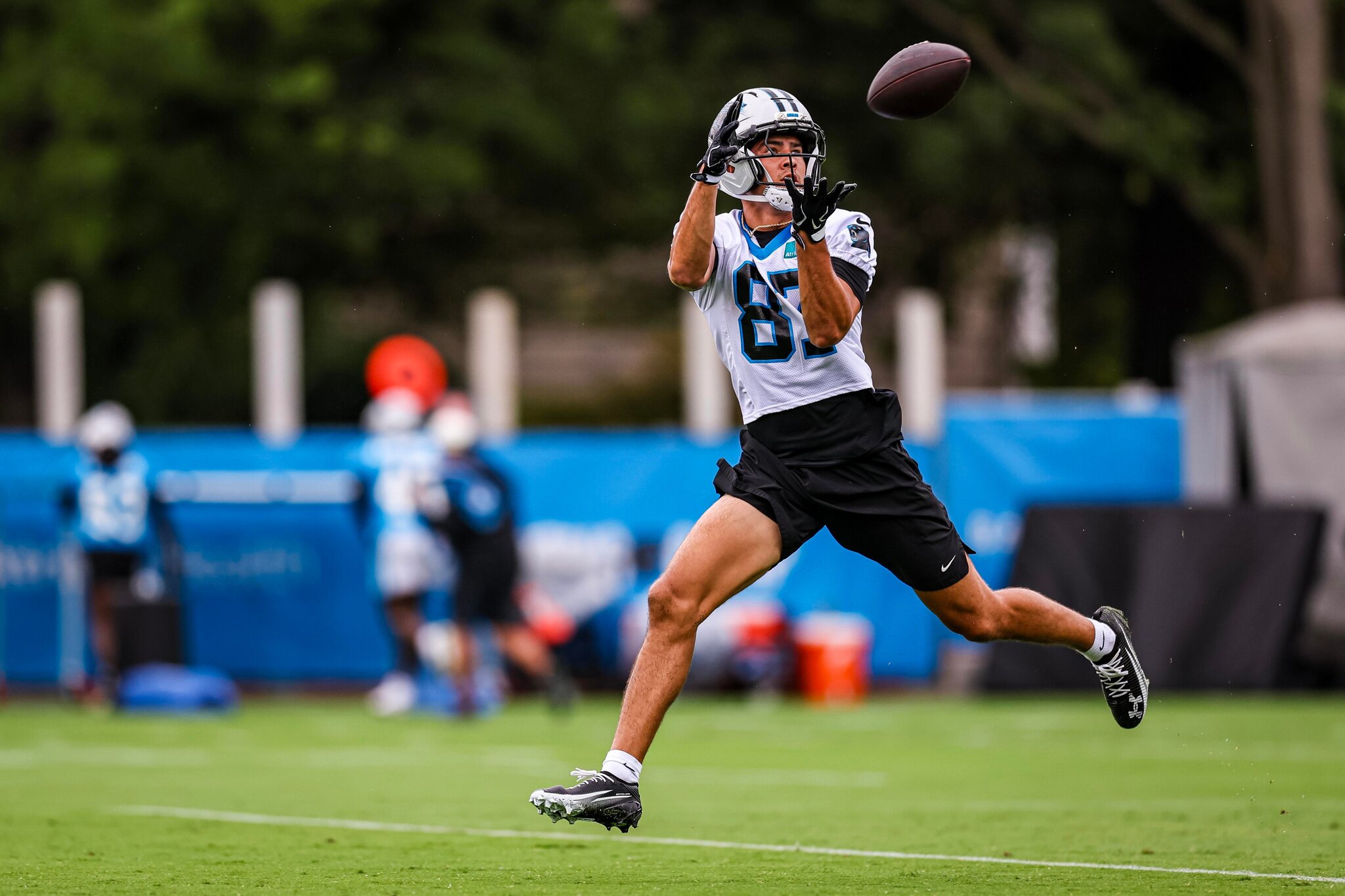 Be prepared for the preseason with our Carolina Panthers roster